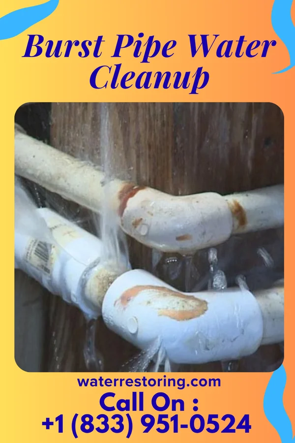 Burst Pipe Water Cleanup in Hagerstown, IN
