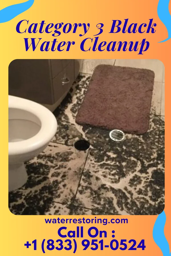 Category 3 Black Water Cleanup in Hagerstown, IN