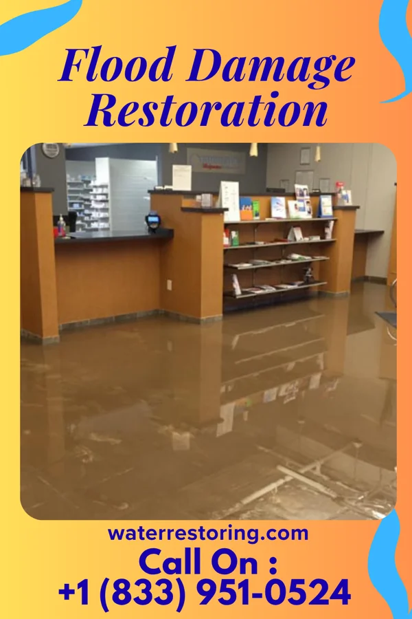 Flood Damage Restoration in Hagerstown, IN
