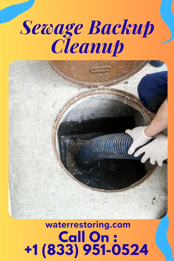 Sewage Backup Cleanup in Hagerstown, IN